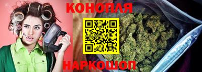прущие грибы Ирбит