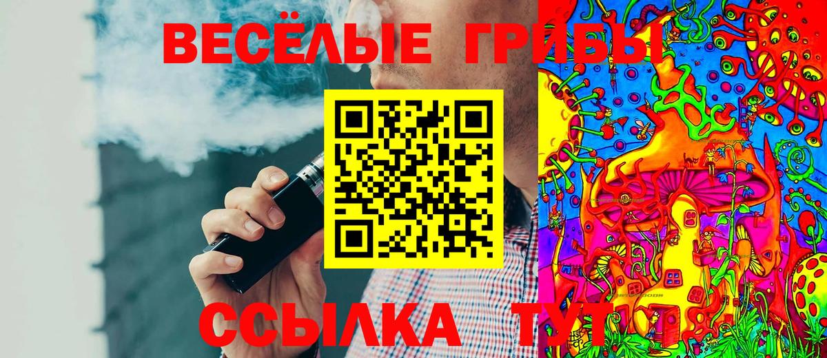 Галлюциногенные грибы Cubensis  как найти закладки  Вход с VPN  Междуреченск  Галлюциногенные грибы мицелий 
