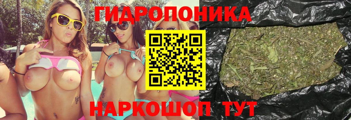 Канабис сатива  Канабис конопля  Вход с VPN  Междуреченск  Марихуана план 