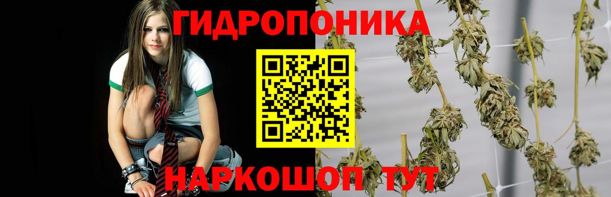 Марихуана OG Kush  Шишки марихуана марихуана  Междуреченск  Канабис тримм 